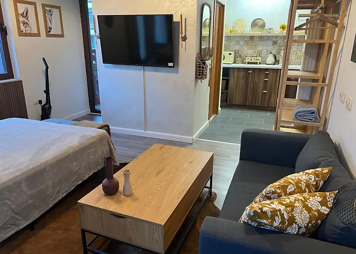 Luxury Studio1 In Friends Appartamento *