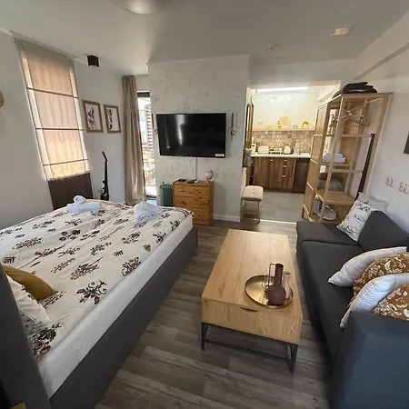 Lejlighed Luxury Studio1 In Friends Bansko