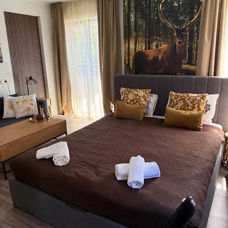 Luxury Studio1 In Friends Апартамент