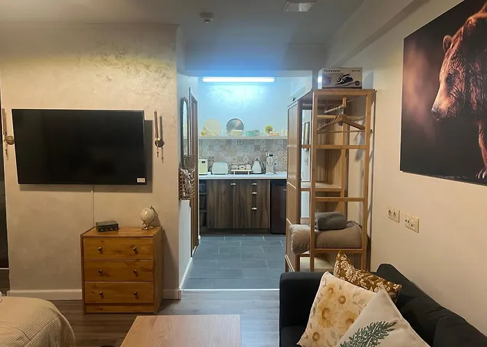 Luxury Studio1 In Friends * 반스코